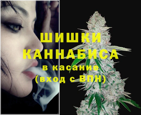 шишки Аркадак