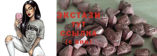 шишки Аркадак