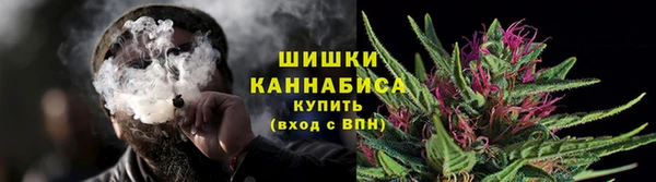 шишки Аркадак