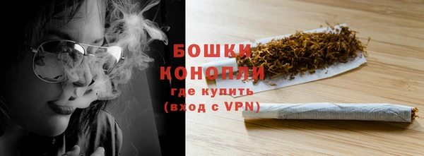 шишки Аркадак
