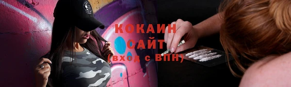 шишки Аркадак