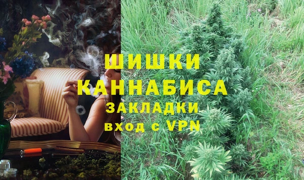 шишки Аркадак