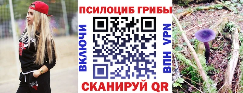 цены наркотик  Зубцов  Псилоцибиновые грибы ЛСД 